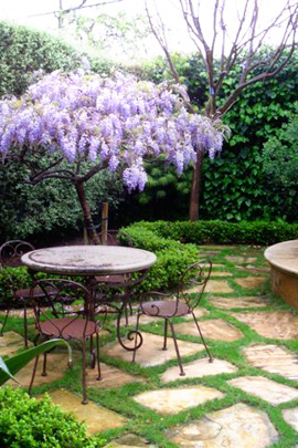 Bay Area backyard transformation